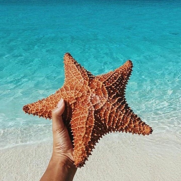 Meet your Posher, Coast to Coast - Picture 1 of 1